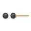 14K Gold Filled 3-4mm Black Round Cultured Freshwater Pearl Stud Earrings by Sophia Jewelers