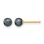14K Gold Filled 4-5mm Black Round Cultured Freshwater Pearl Stud Earrings by Sophia Jewelers