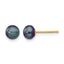 14K Gold Filled 5-6mm Black Button Cultured Freshwater Pearl Stud Earrings by Sophia Jewelers