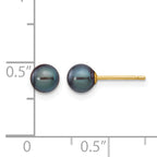 14K Gold Filled 5-6mm Black Round Cultured Freshwater Pearl Stud Earrings - view 3