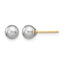 14K Gold Filled 5-6mm Grey Round Cultured Freshwater Pearl Stud Earrings by Sophia Jewelers