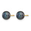 14K Gold Filled 6-7mm Black Button Cultured Freshwater Pearl Stud Earrings - view 2