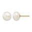 14K Gold Filled 7-8mm White Button Cultured Freshwater Pearl Stud Earrings by Sophia Jewelers