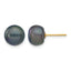 14K Gold Filled 8-9mm Black Button Cultured Freshwater Pearl Stud Earrings by Sophia Jewelers