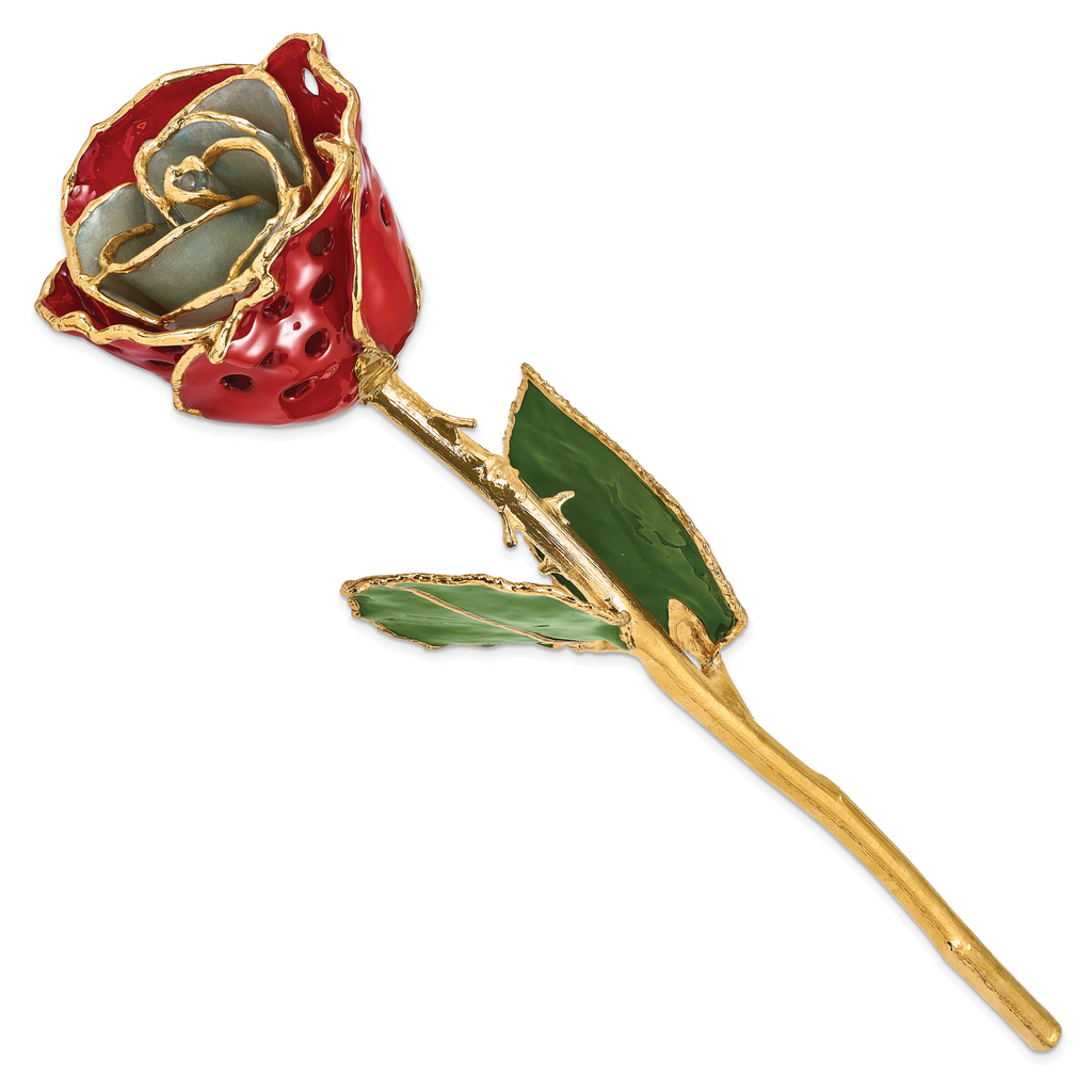Lacquer Dipped Gold Trimmed White/Red with Holes Real Rose