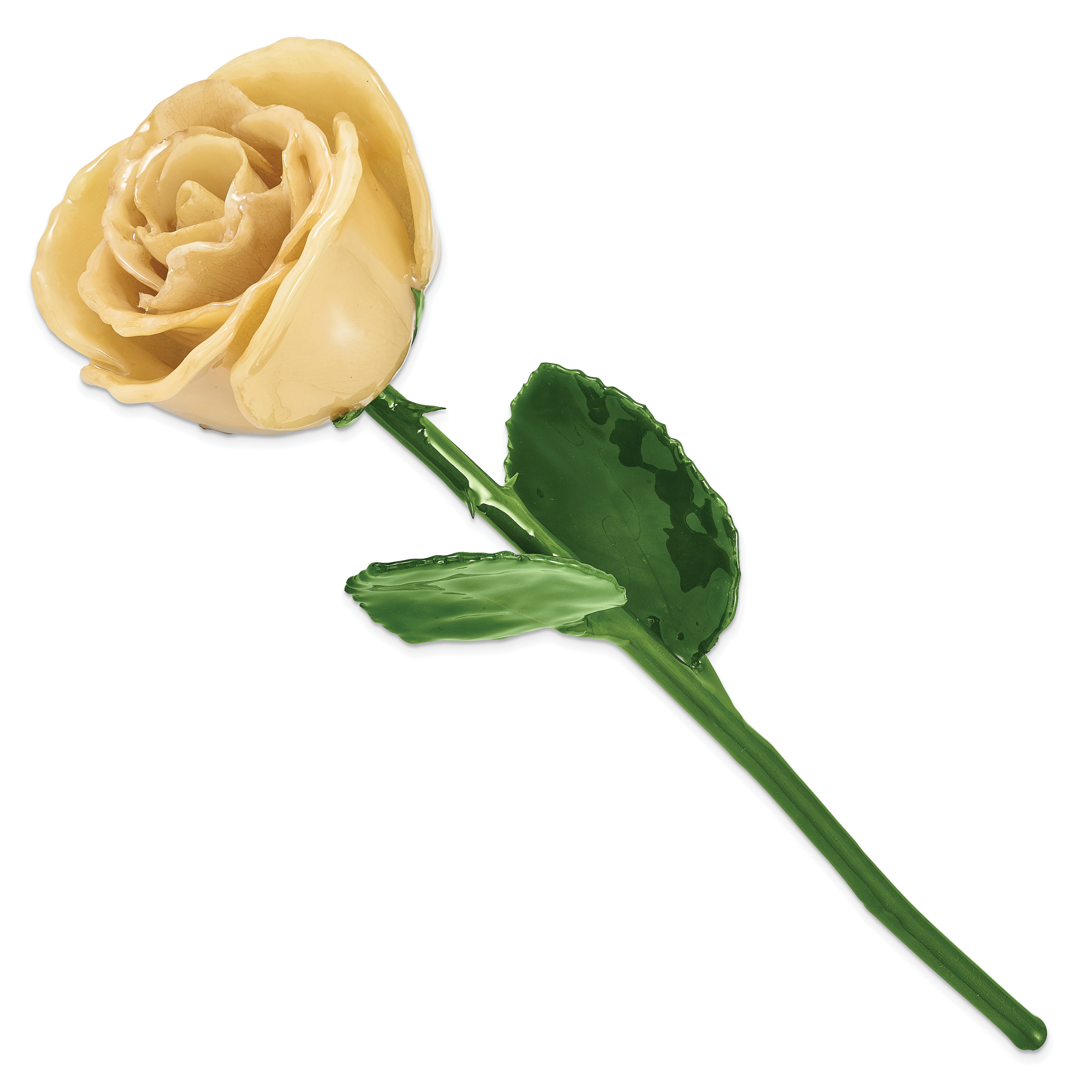 Cream Lacquer Dipped Natural Rose with Green Leaves and Stem