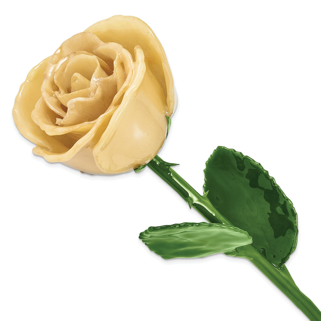Cream Lacquer Dipped Natural Rose with Green Leaves and Stem