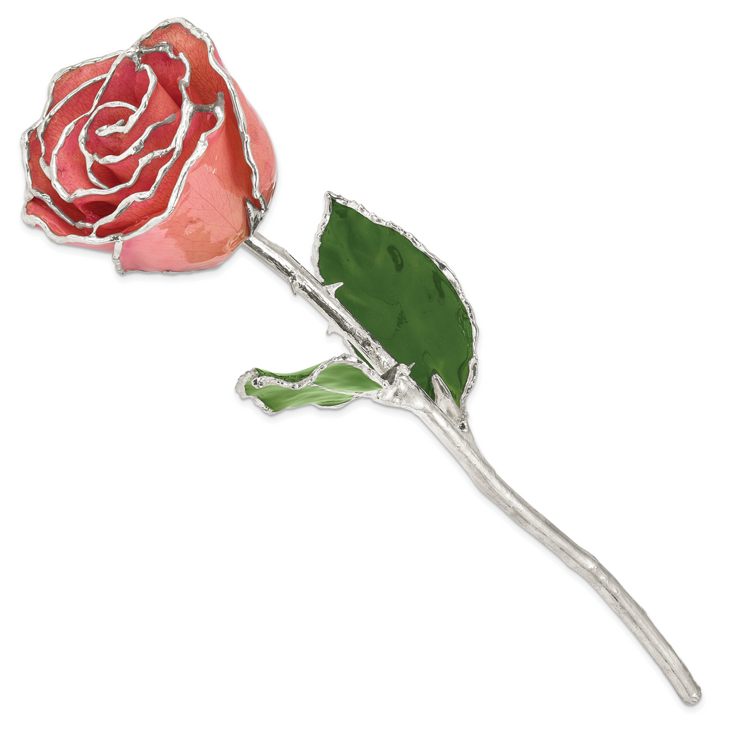 Pink Lacquer Dipped Silver Trimmed Real Rose