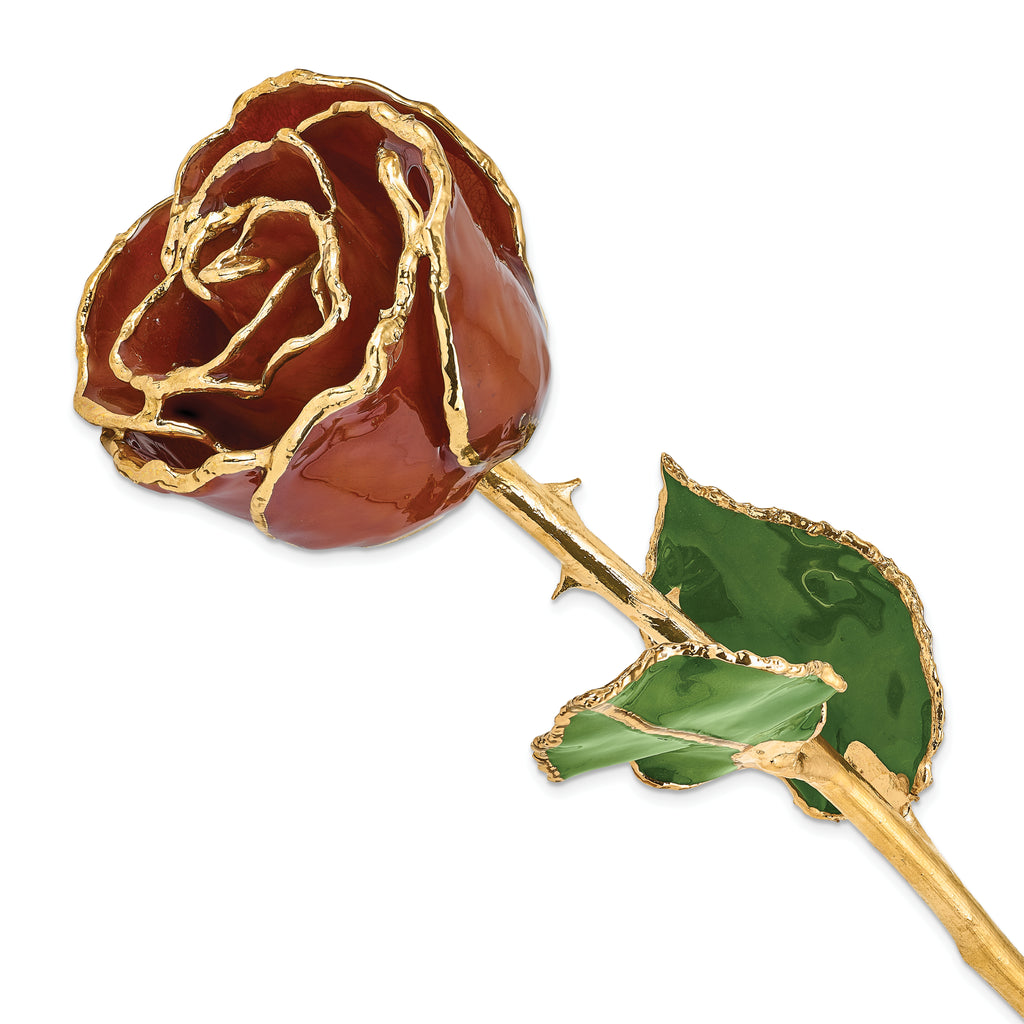 Lacquer Dipped Gold Trimmed Root Beer Real Rose