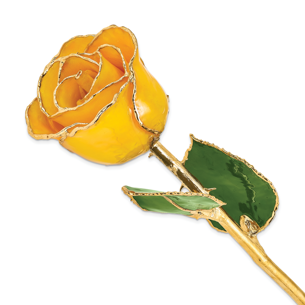 Lacquer Dipped Gold Trimmed Saffron Real Rose