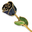 Black Lacquer Dipped Gold Trimmed with Glitter Real Rose