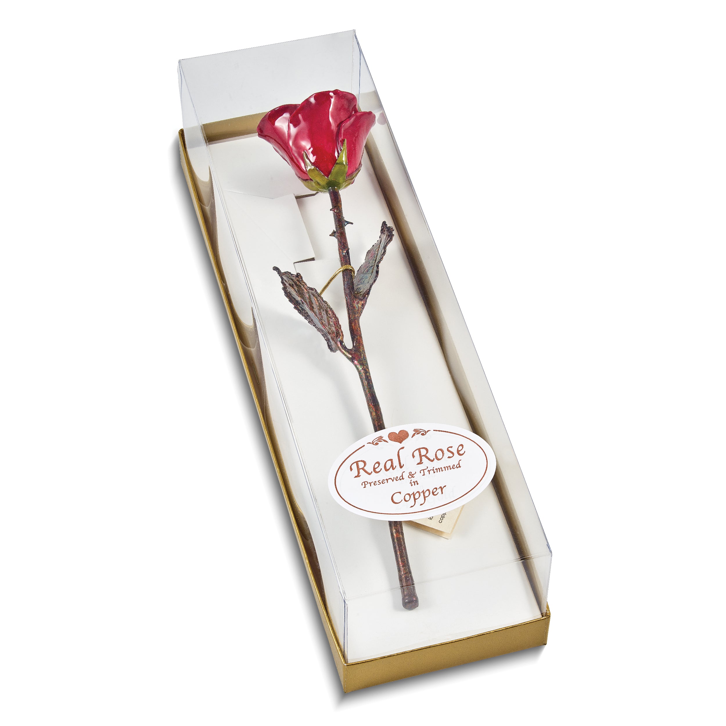 Burgundy Lacquer Dipped Copper Trimmed Real Rose - Sophia Jewelers
