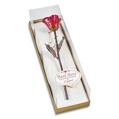 Burgundy Lacquer Dipped Copper Trimmed Real Rose - Sophia Jewelers