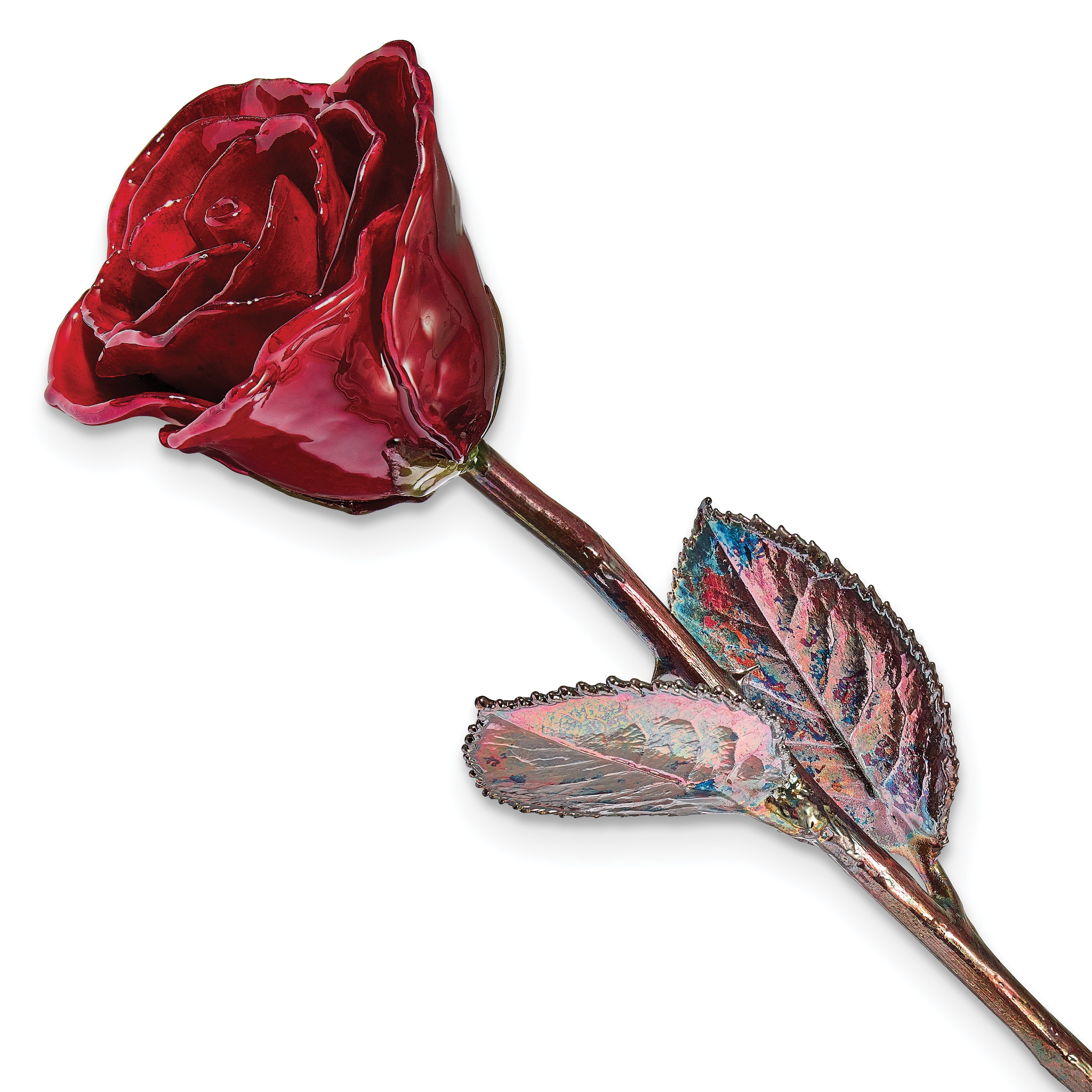 Burgundy Lacquer Dipped Copper Trimmed Real Rose