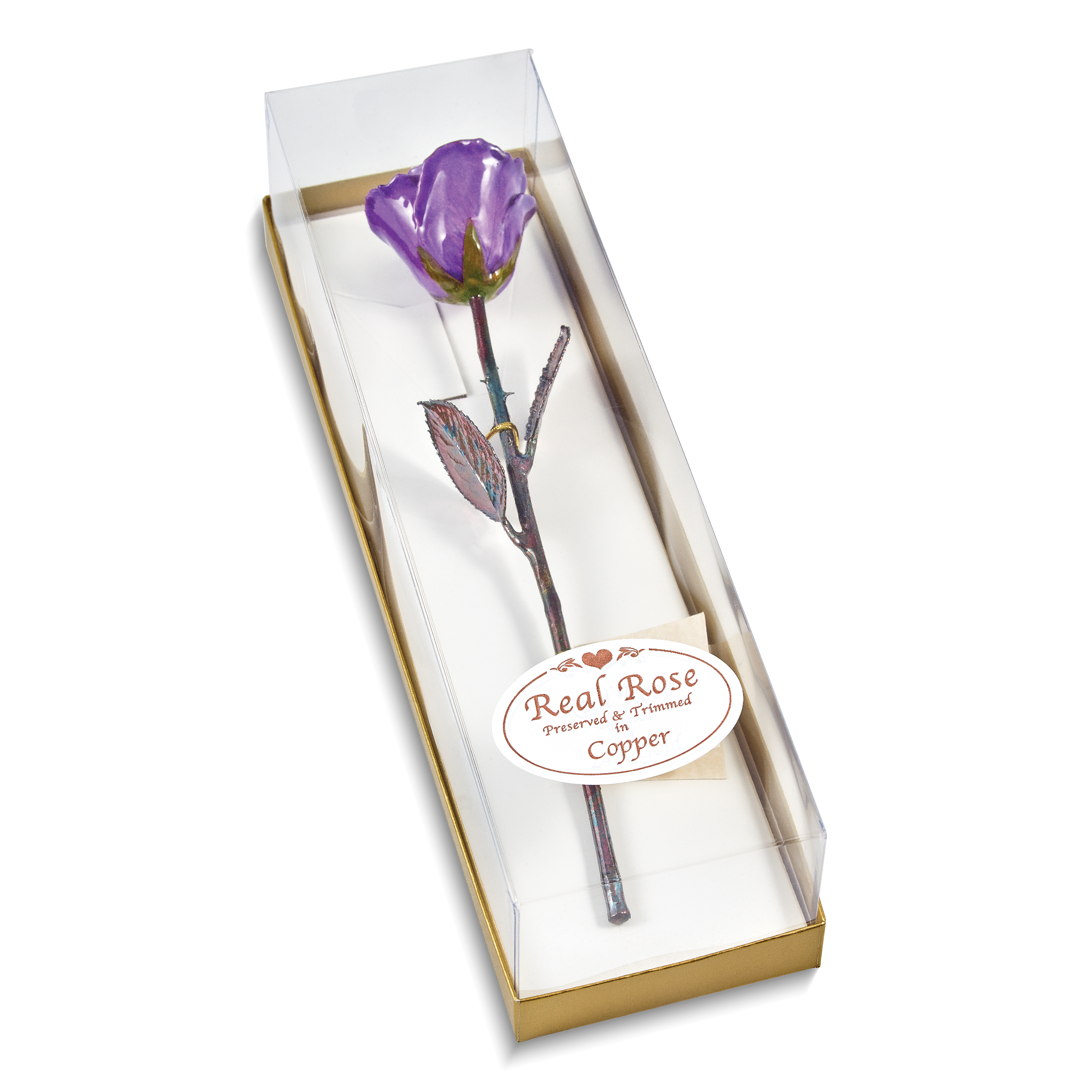Purple Lacquer Dipped Copper Trimmed Real Rose