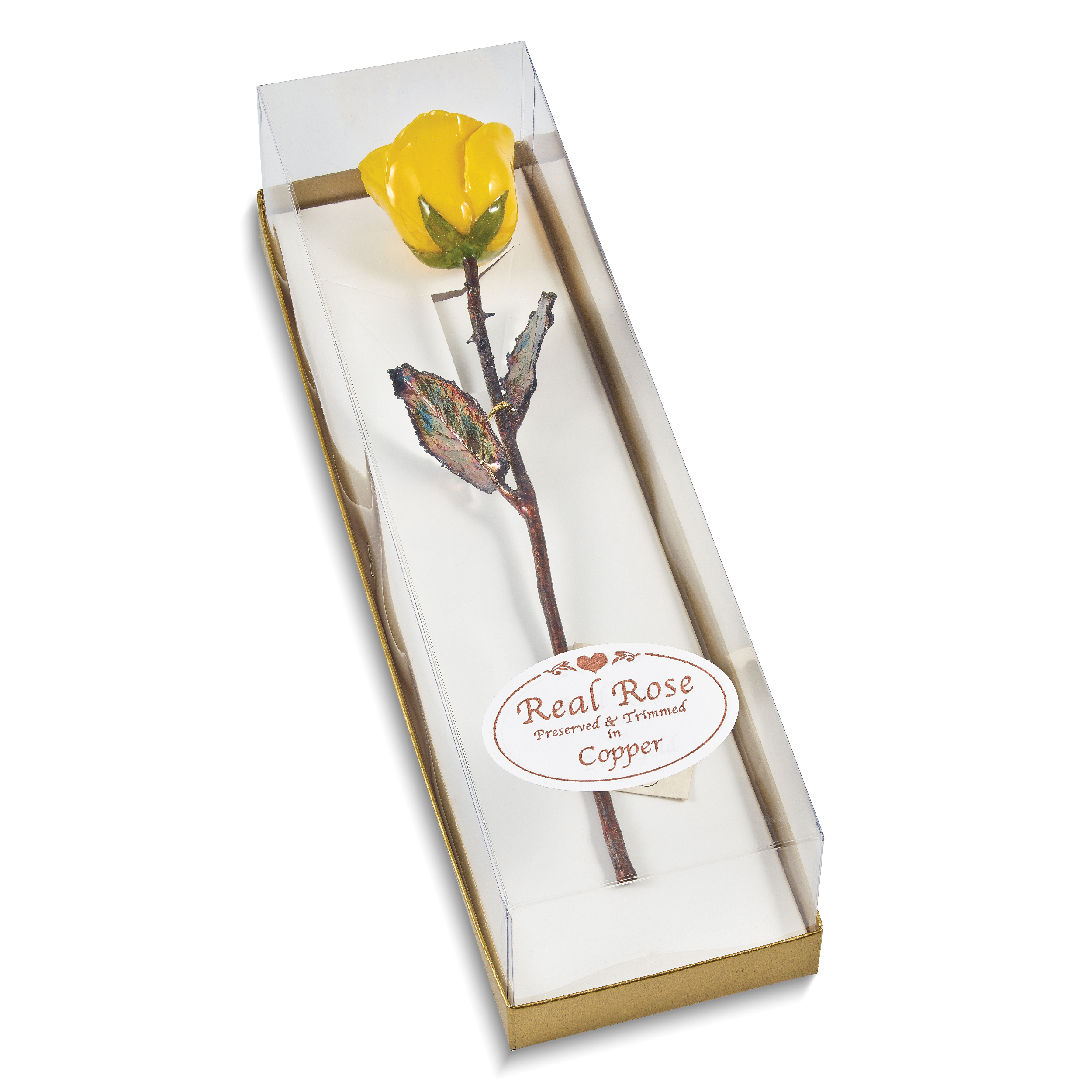 Yellow Lacquer Dipped Copper Trimmed Real Rose