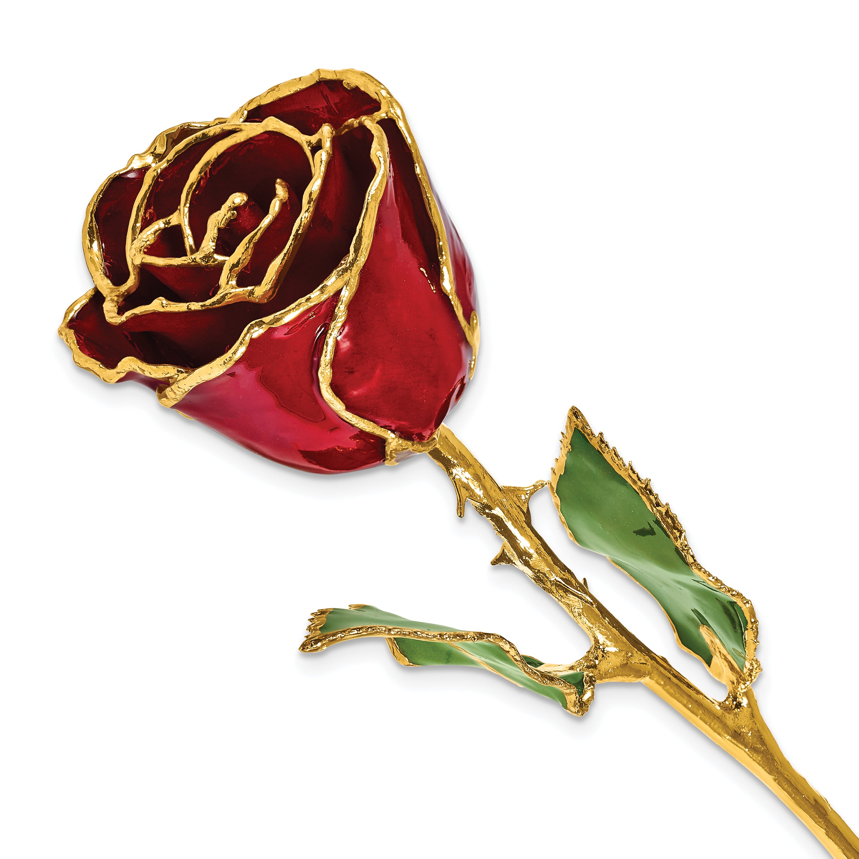 Lacquer Dipped Gold Trim  January Birthstone Garnet Rose