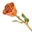 Lacquer Dipped Gold Trim November Birthstone Amber Resin Rose