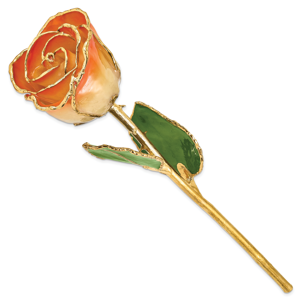 Lacquer Dipped Gold Trimmed White and Orange Real Rose