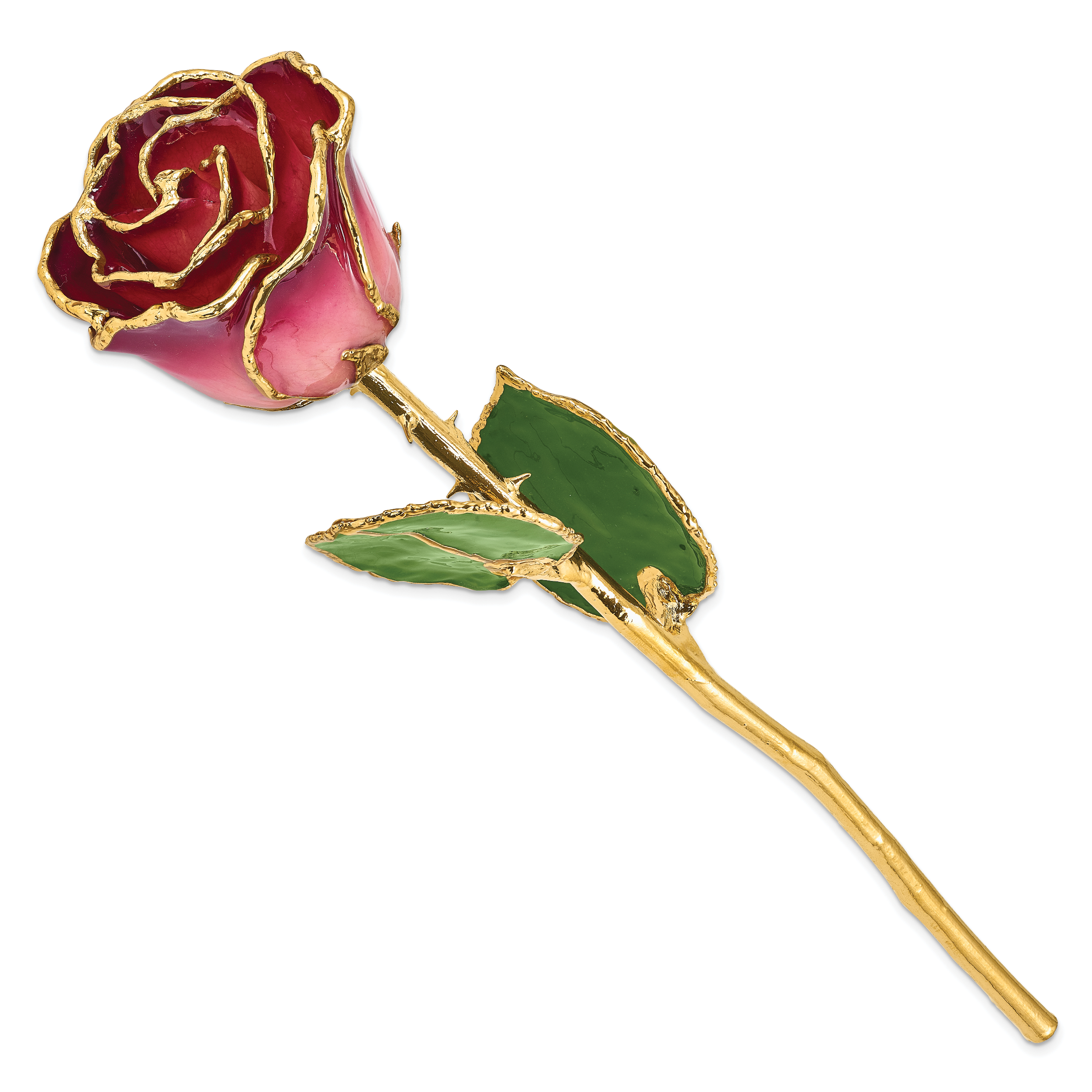 Lacquer Dipped Gold Trimmed Pink and Burgundy Real Rose