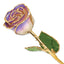 Lacquer Dipped Gold Trimmed White and Blue Opal Real Rose