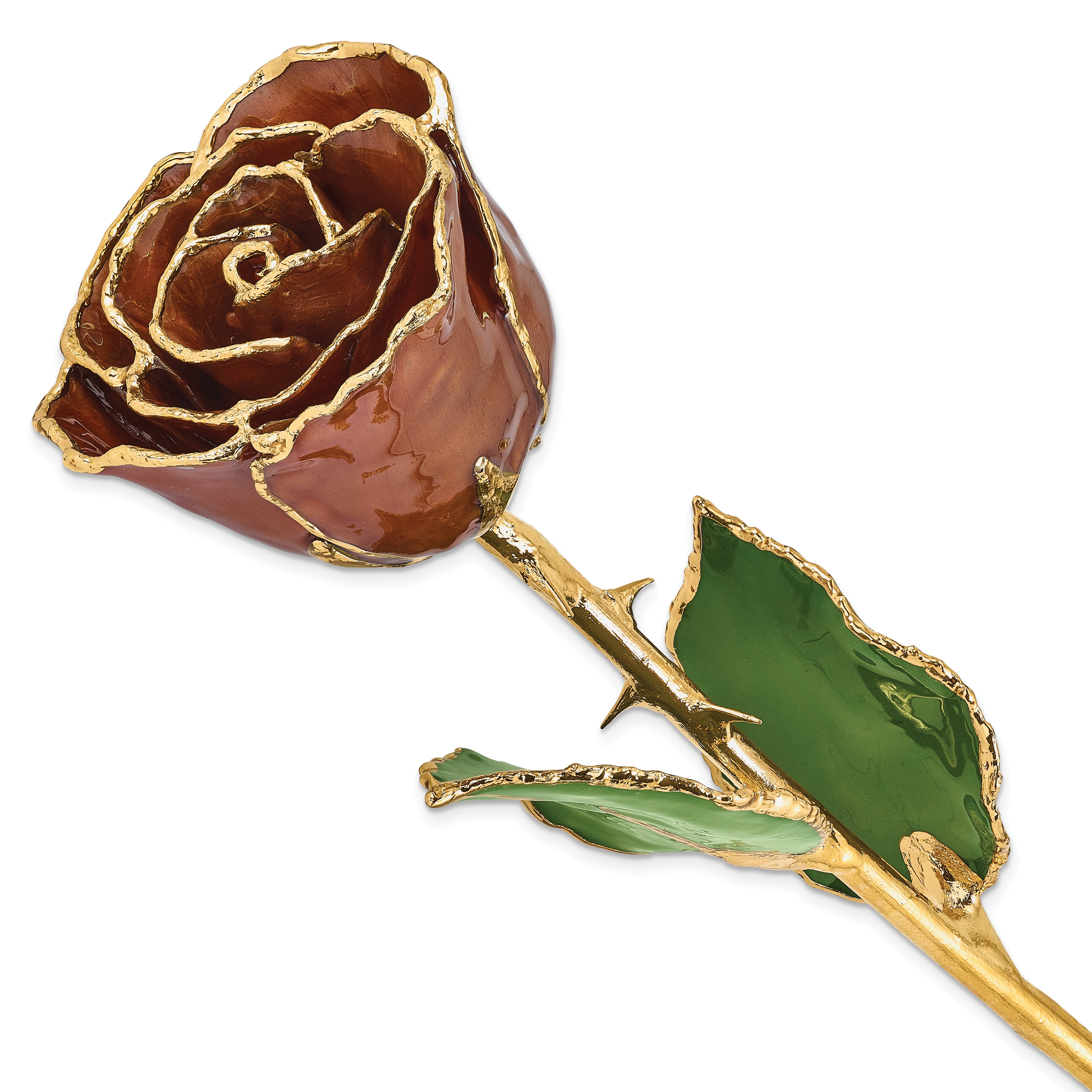 Lacquer Dipped Gold Trimmed Cinnamon Pearl Real Rose Main image