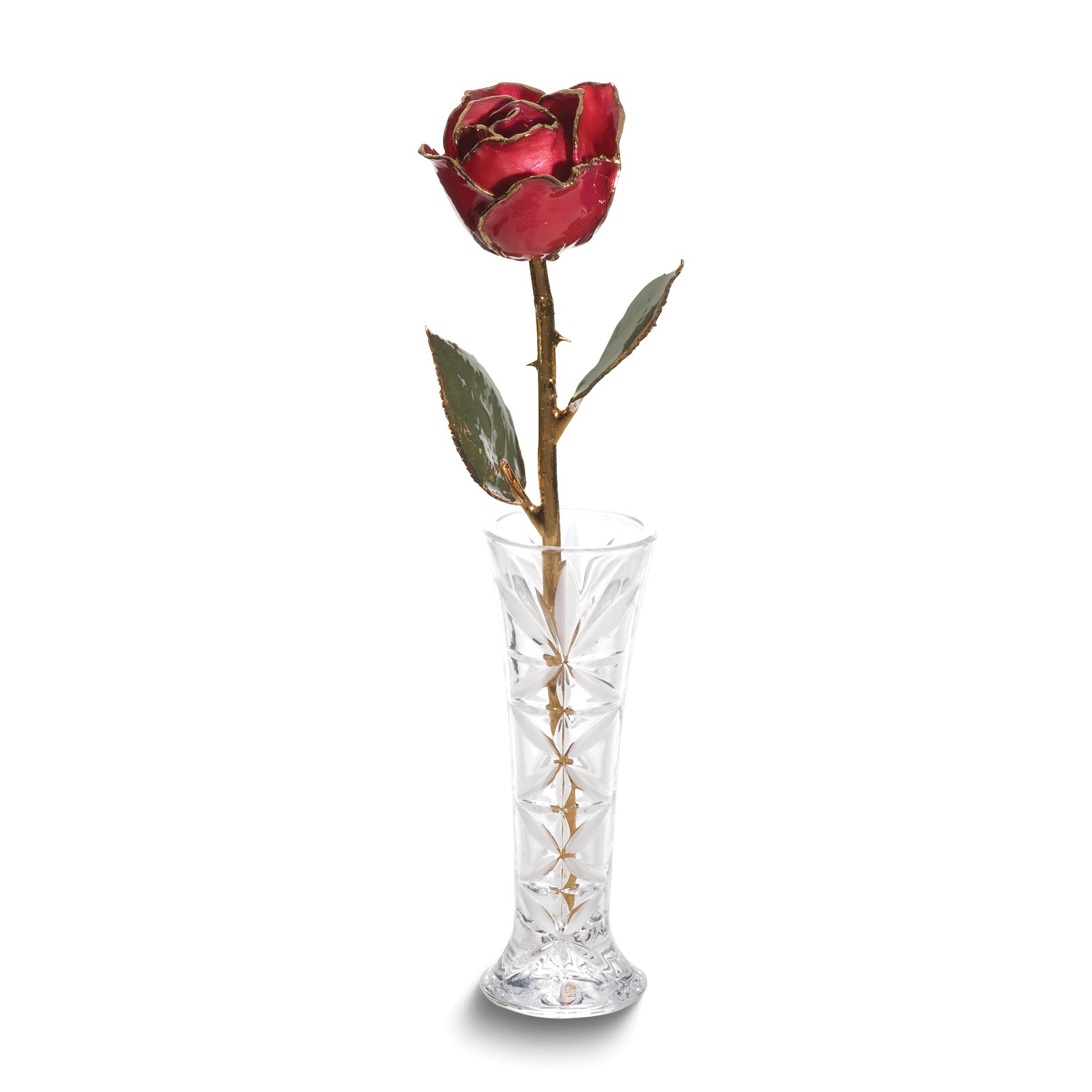 Lacquer Dipped 24k Gold Trimmed Red Real Rose and Small Bud Vase Set Main image