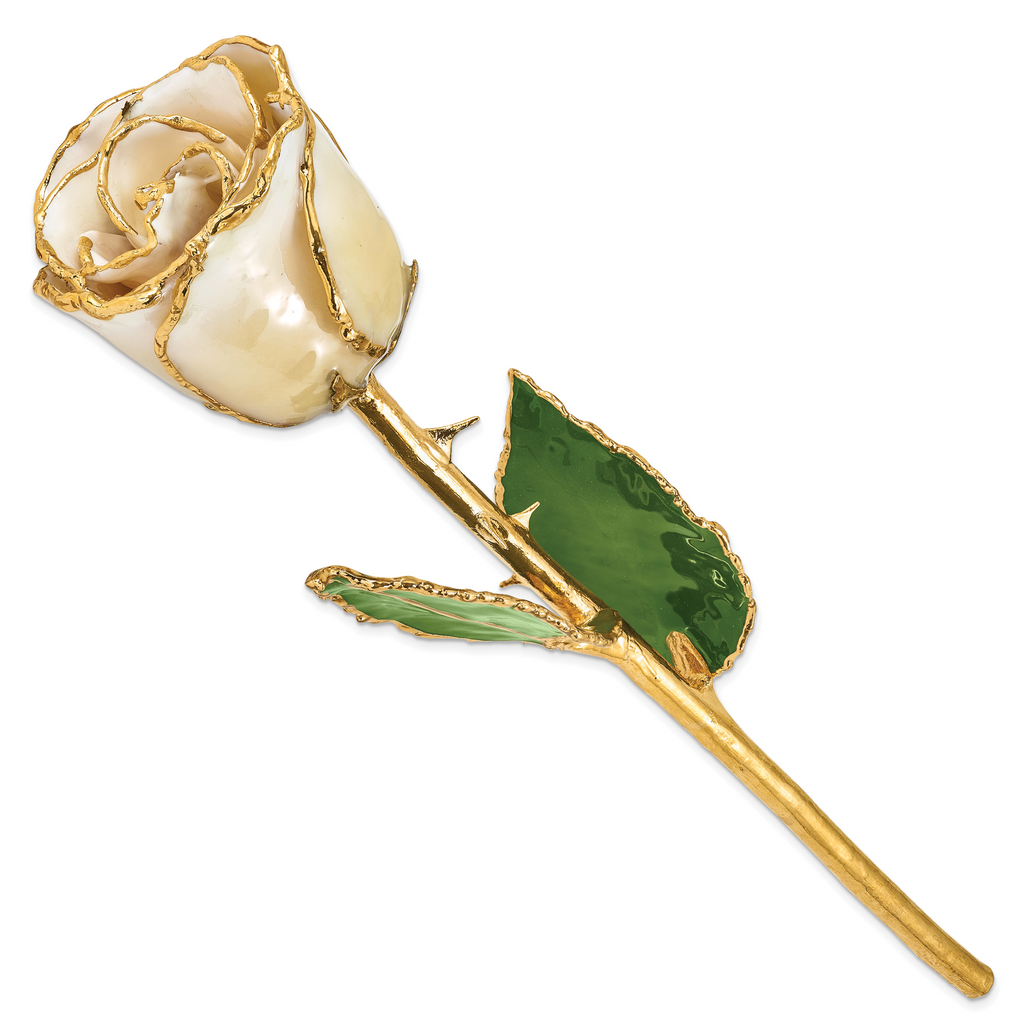 Lacquer Dipped Gold Trimmedmed Cream/White Real Rose