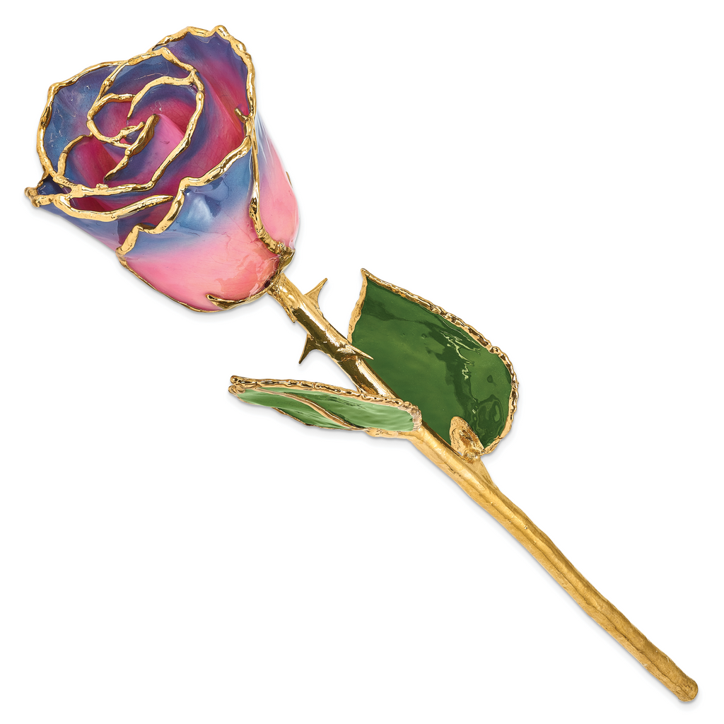 Lacquer Dipped Gold Trimmedmed Pink/Navy Real Rose