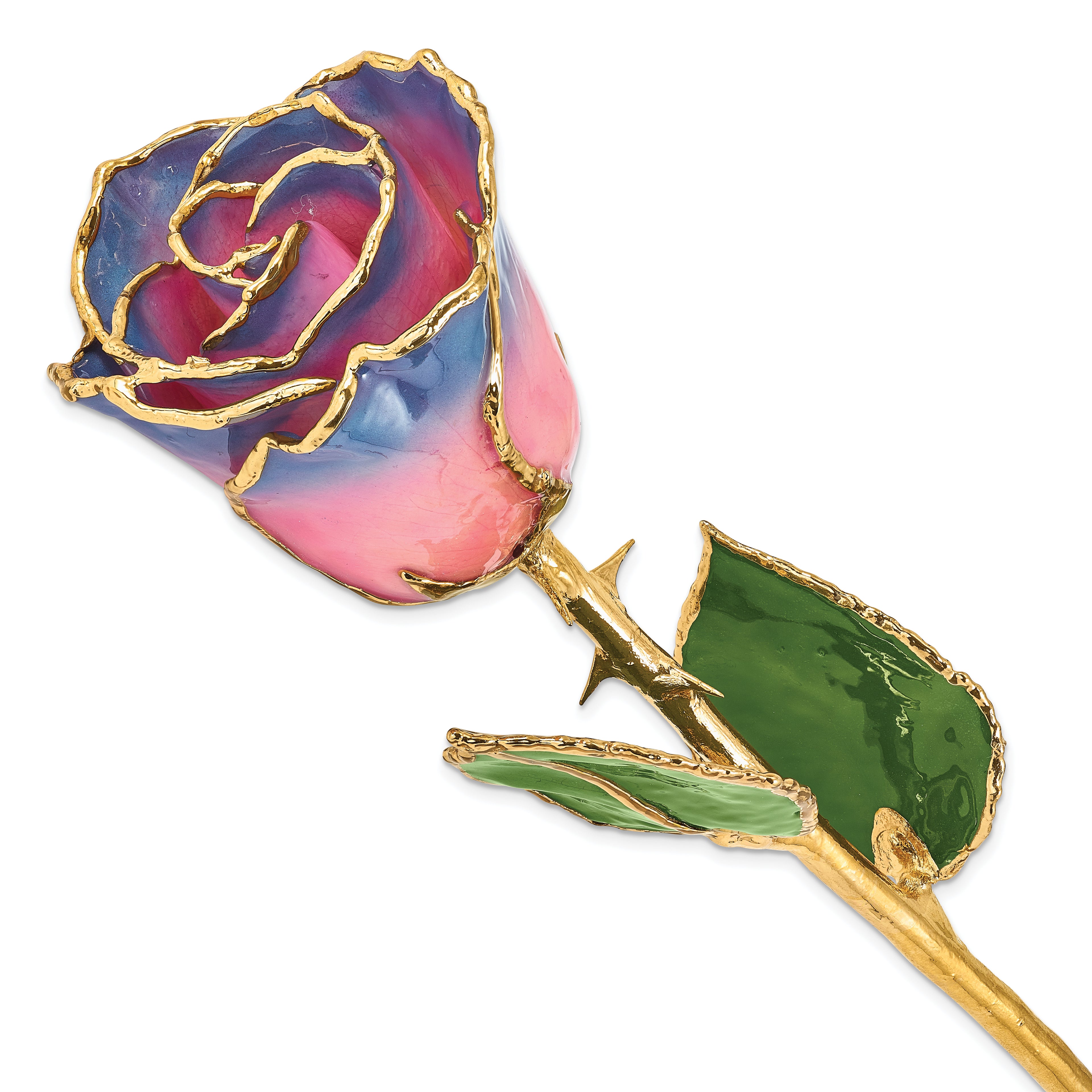 Lacquer Dipped Gold Trimmedmed Pink/Navy Real Rose