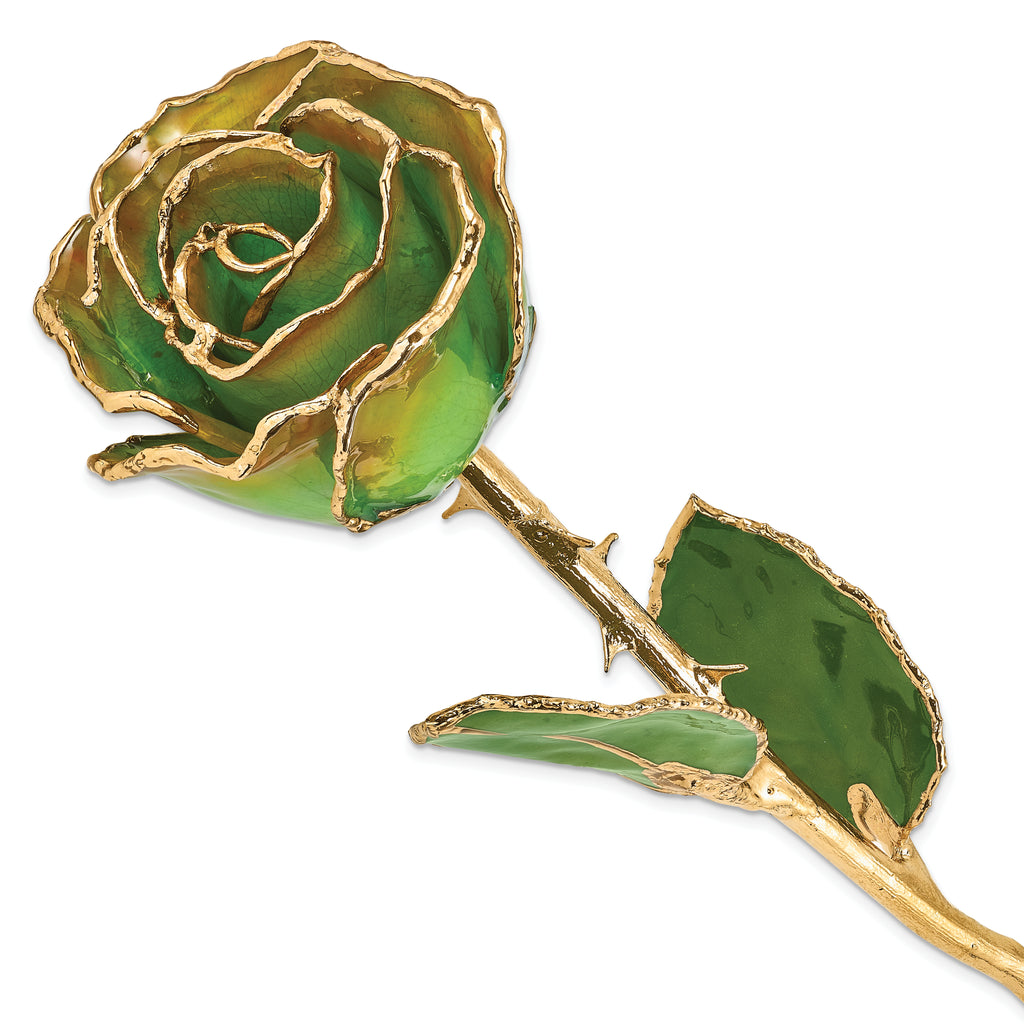Lacquer Dipped Gold Trimmedmed Peridot/Orange Real Rose
