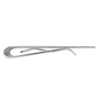 Rhodium-plated Kelly Waters with Engraveable Area Money Clip