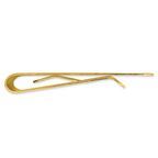 Gold-plated Kelly Waters with Engraveable Area Money Clip