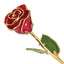 Lacquer Dipped Gold Trimmed Red Real Rose