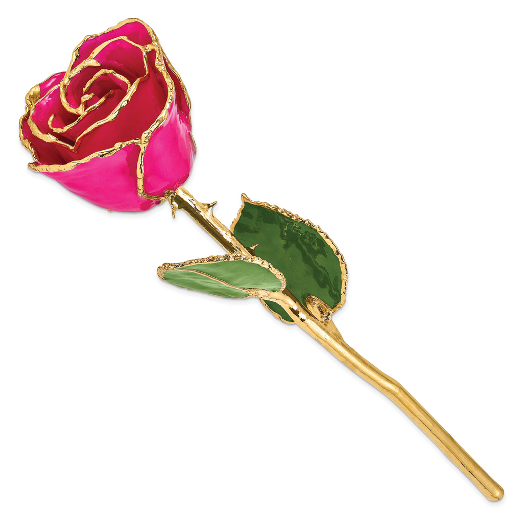 Lacquer Dipped Gold Trimmed Lilac Pink Real Rose