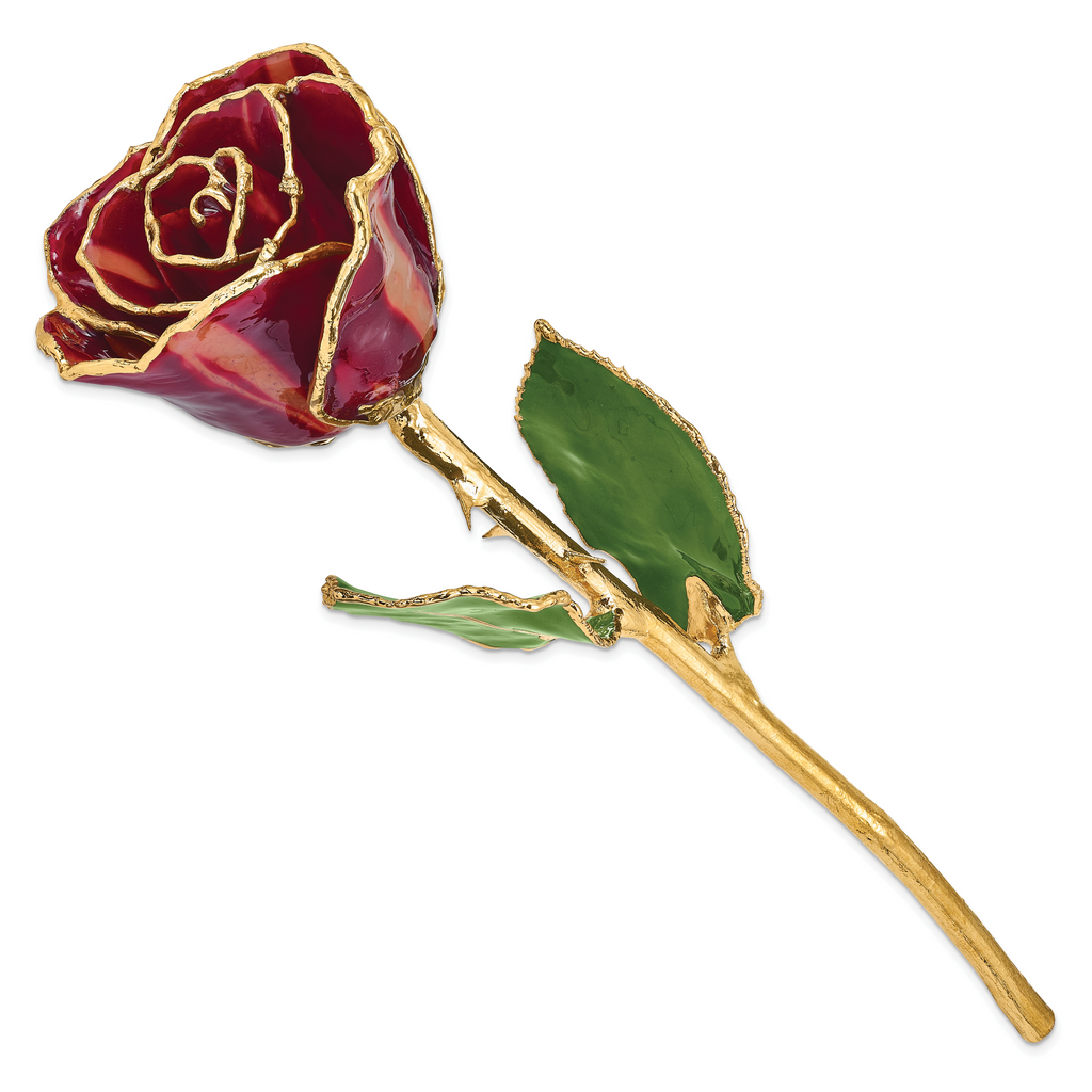 Lacquer Dipped Gold Trimmed Abracadabra Real Rose