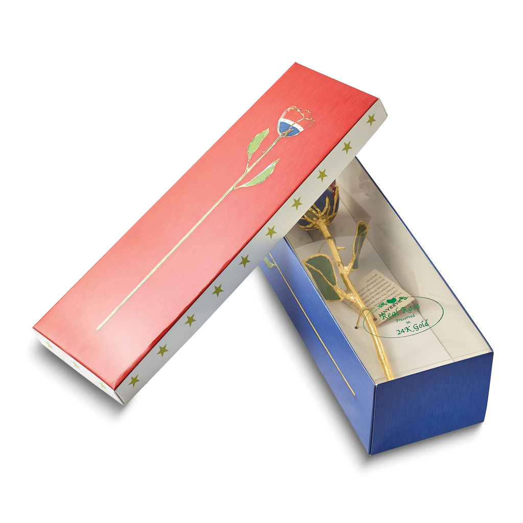 Lacquer Dipped Gold Trimmed Liberty Real Rose