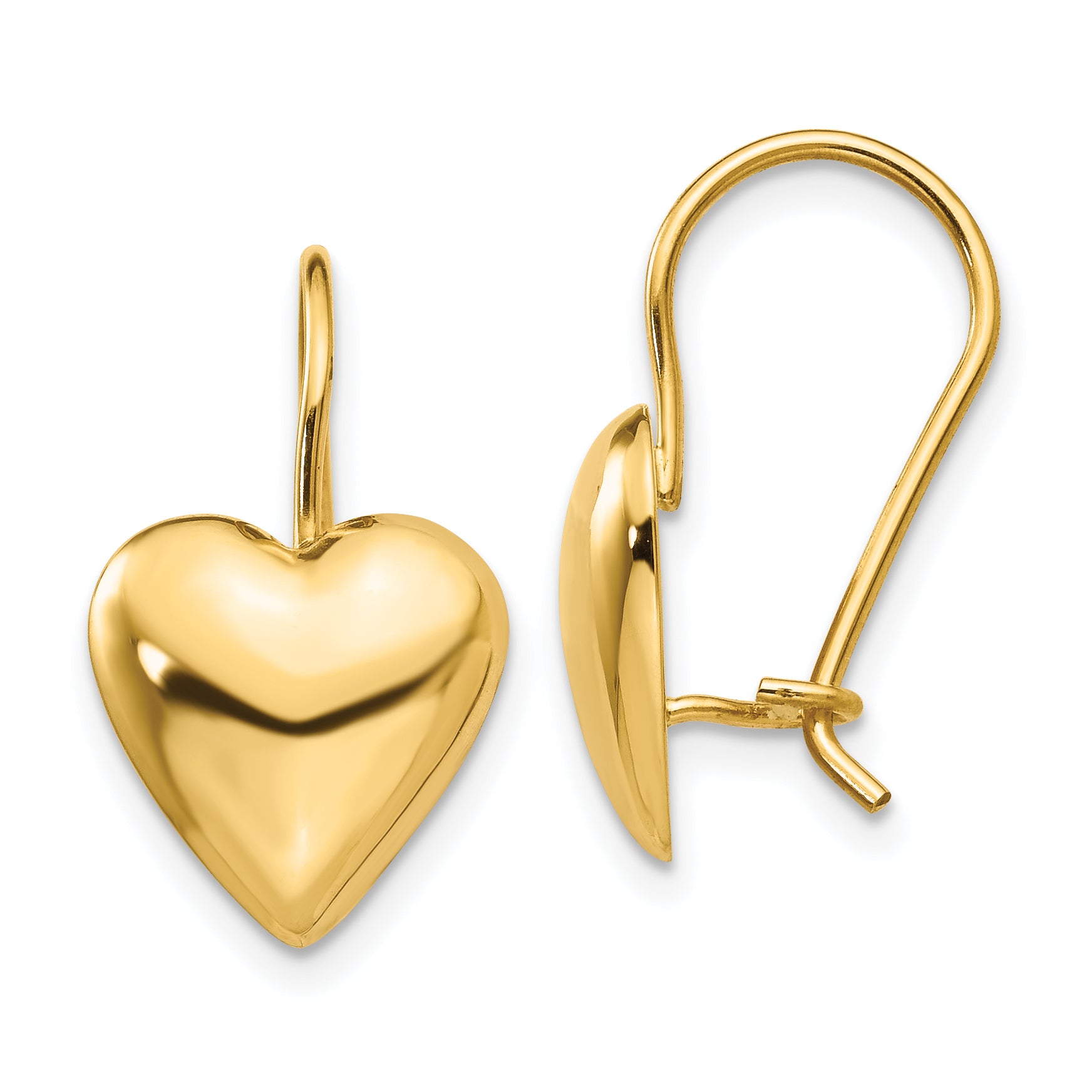 14k Polished 11.5mm Puffed Heart Kidney Wire Earrings Main image