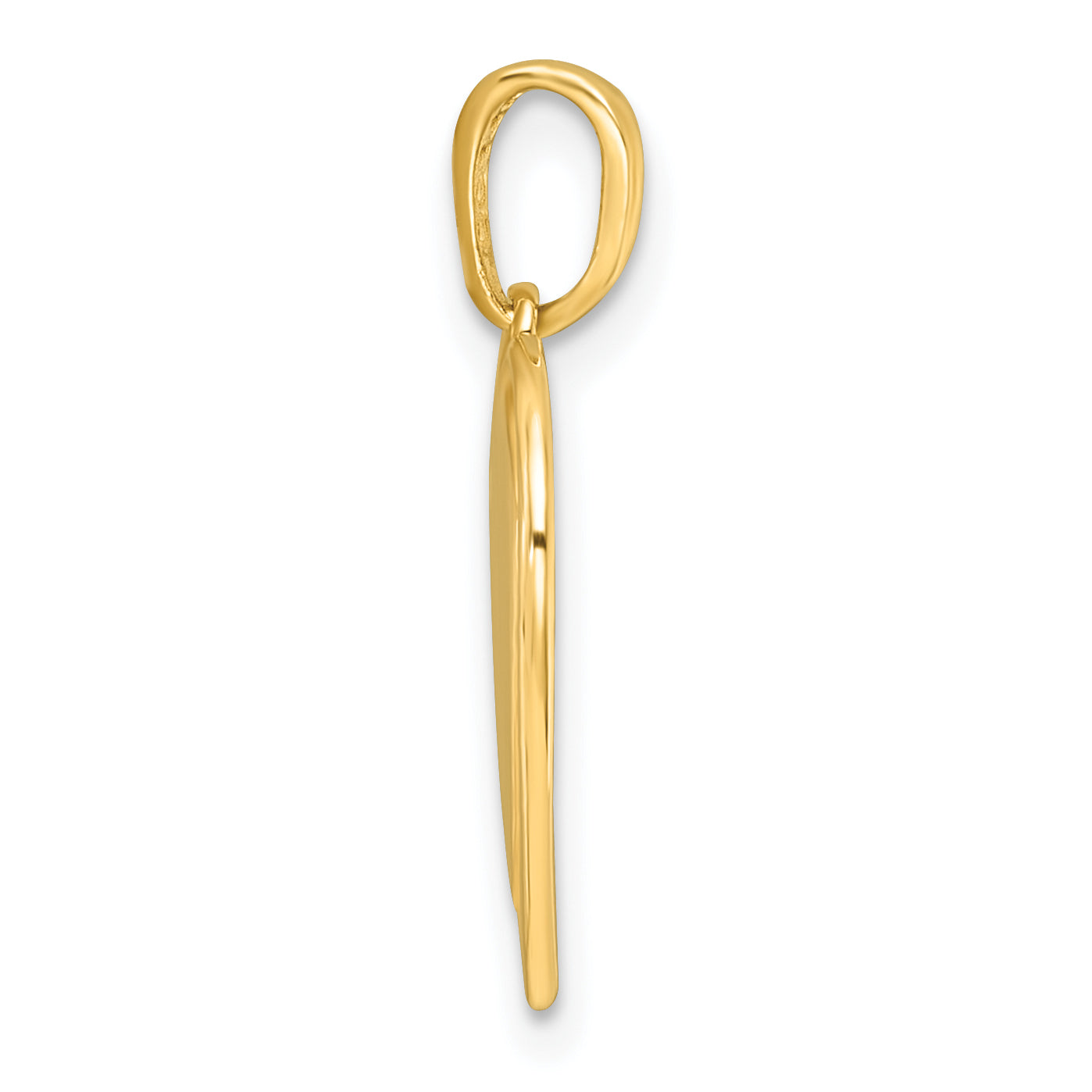 14k with White Rhodium Polished Multi Color Enamel Eye In Heart Charm