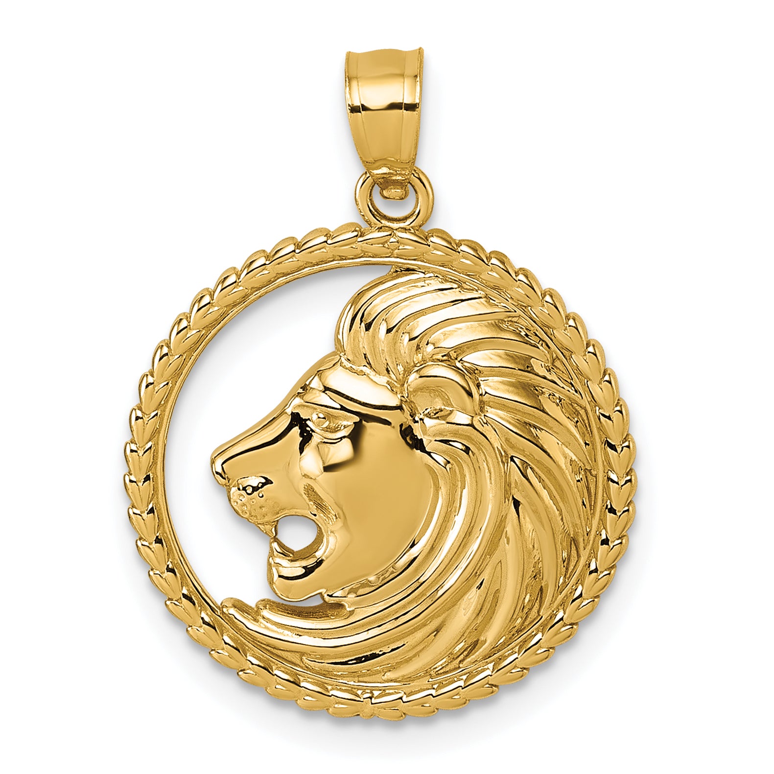 14k Polished Lion with Mane in Textured Circle Pendant Main image