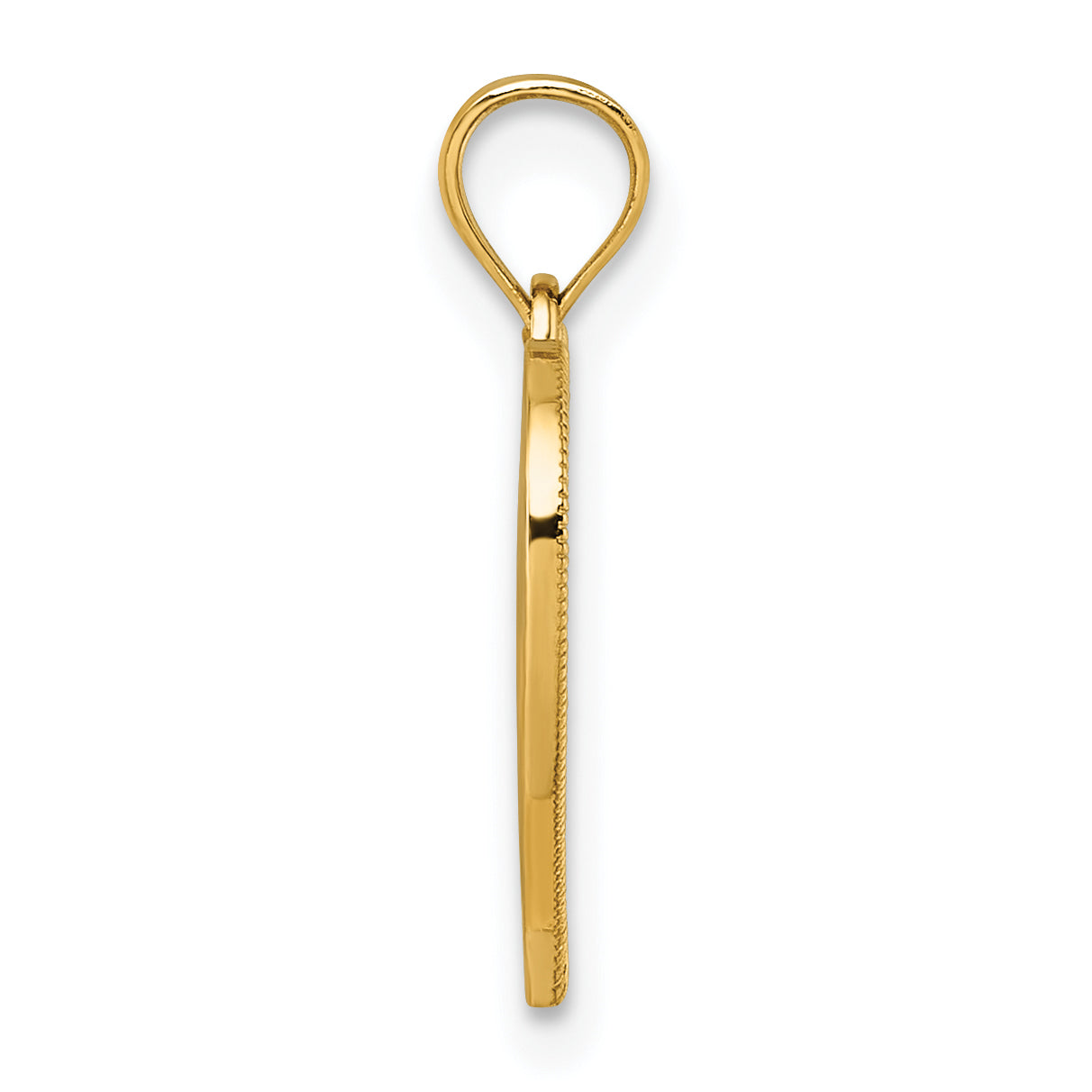 14k Polished And Textured RN Symbol in Open Heart Pendant