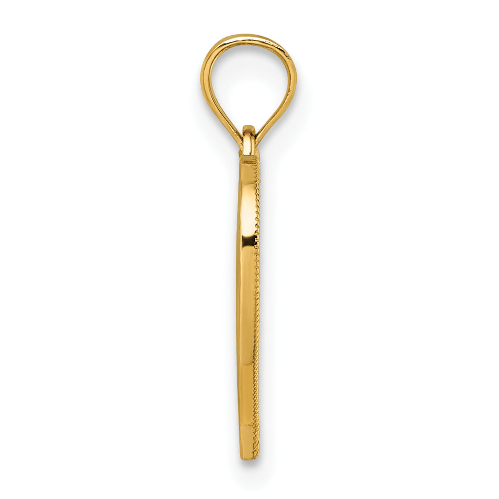 14k Polished And Textured RN Symbol in Open Heart Pendant