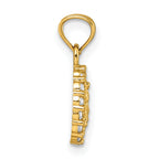 14k Polished CZ Oval Our Lady of Guadalupe Charm Pendant
