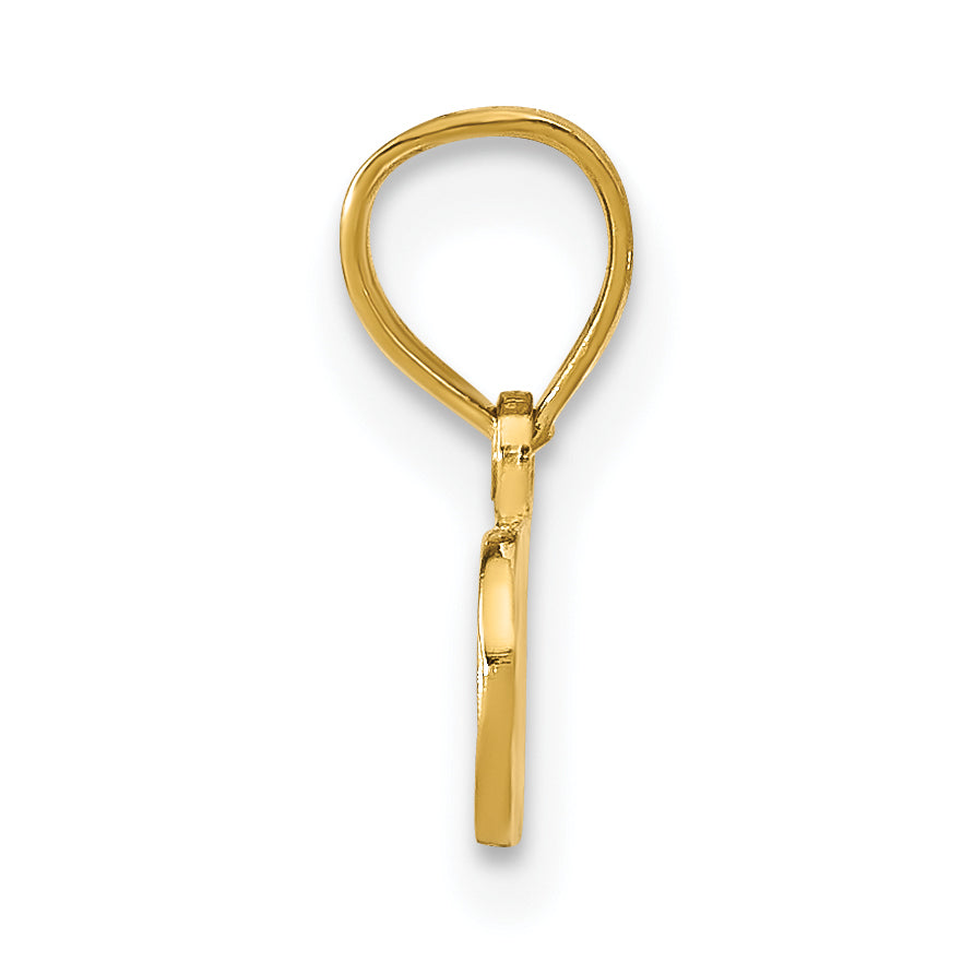 14K SPOILED Pendant Secondary image