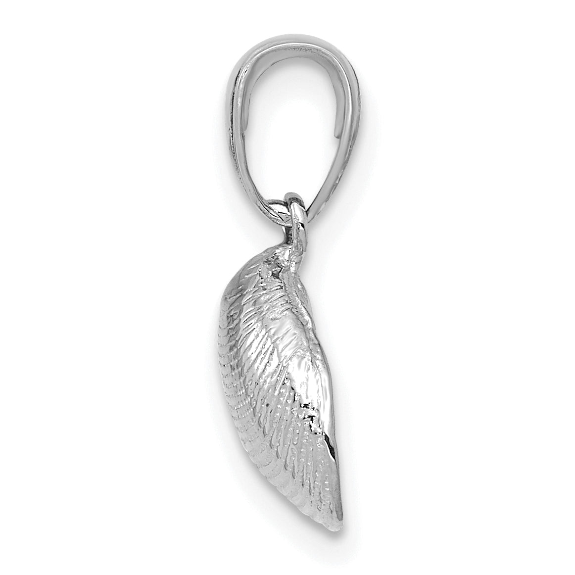 14K White Gold Small Clam Shell Pendant Secondary image
