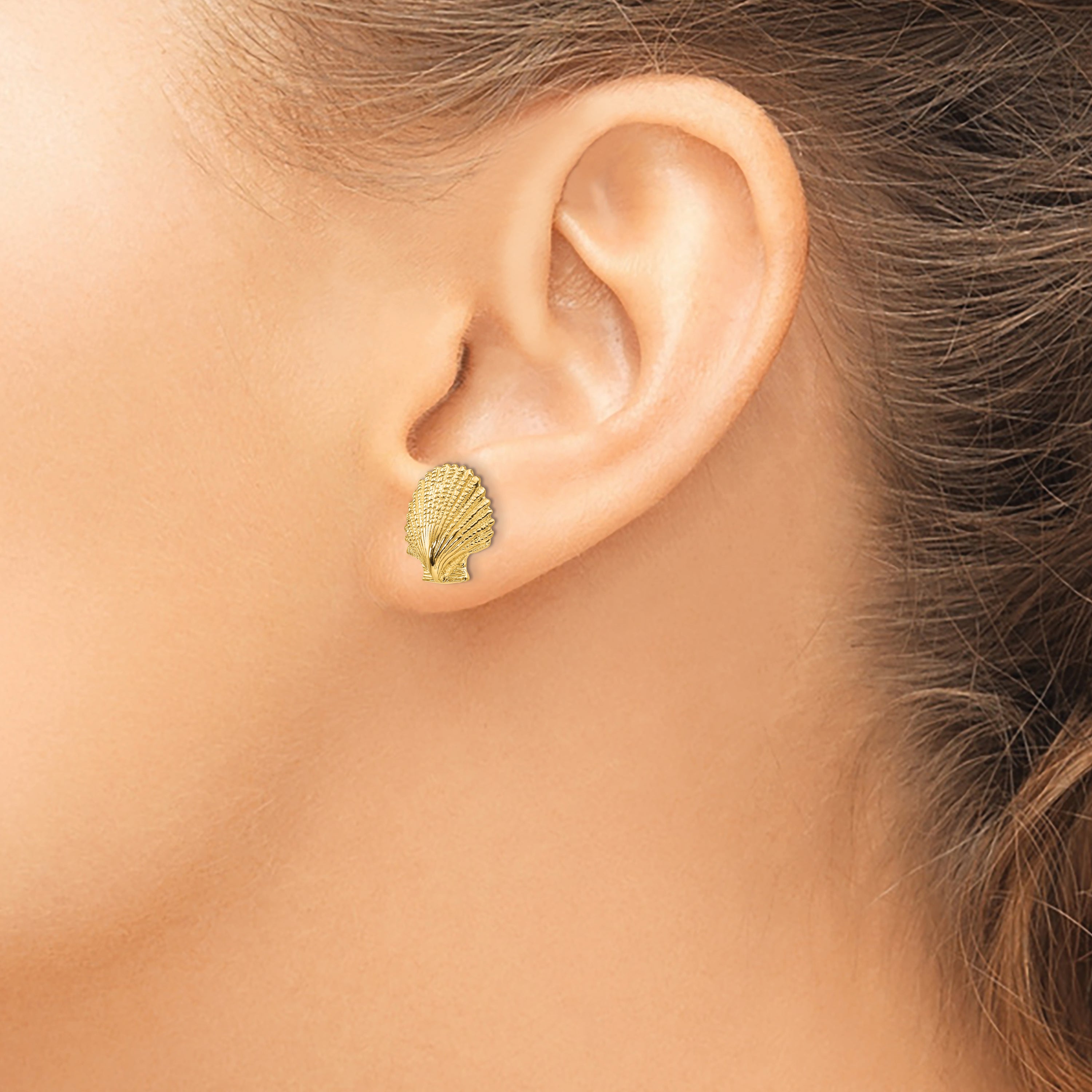 14K Scallop Shell Post Earrings