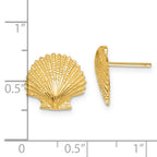 14K Scallop Shell Post Earrings