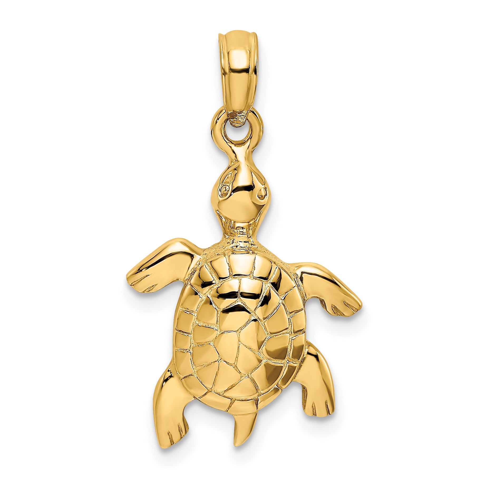 14K Polished Turtle with Textured Shell Charm Main image