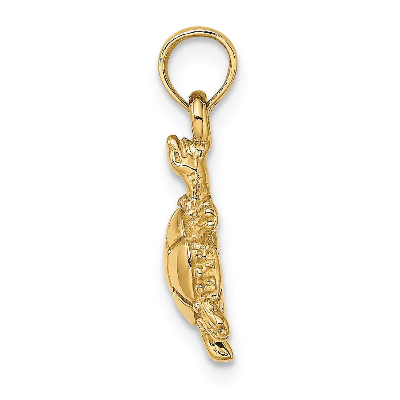 14K 3-D Polished Land Turtle Charm Secondary image