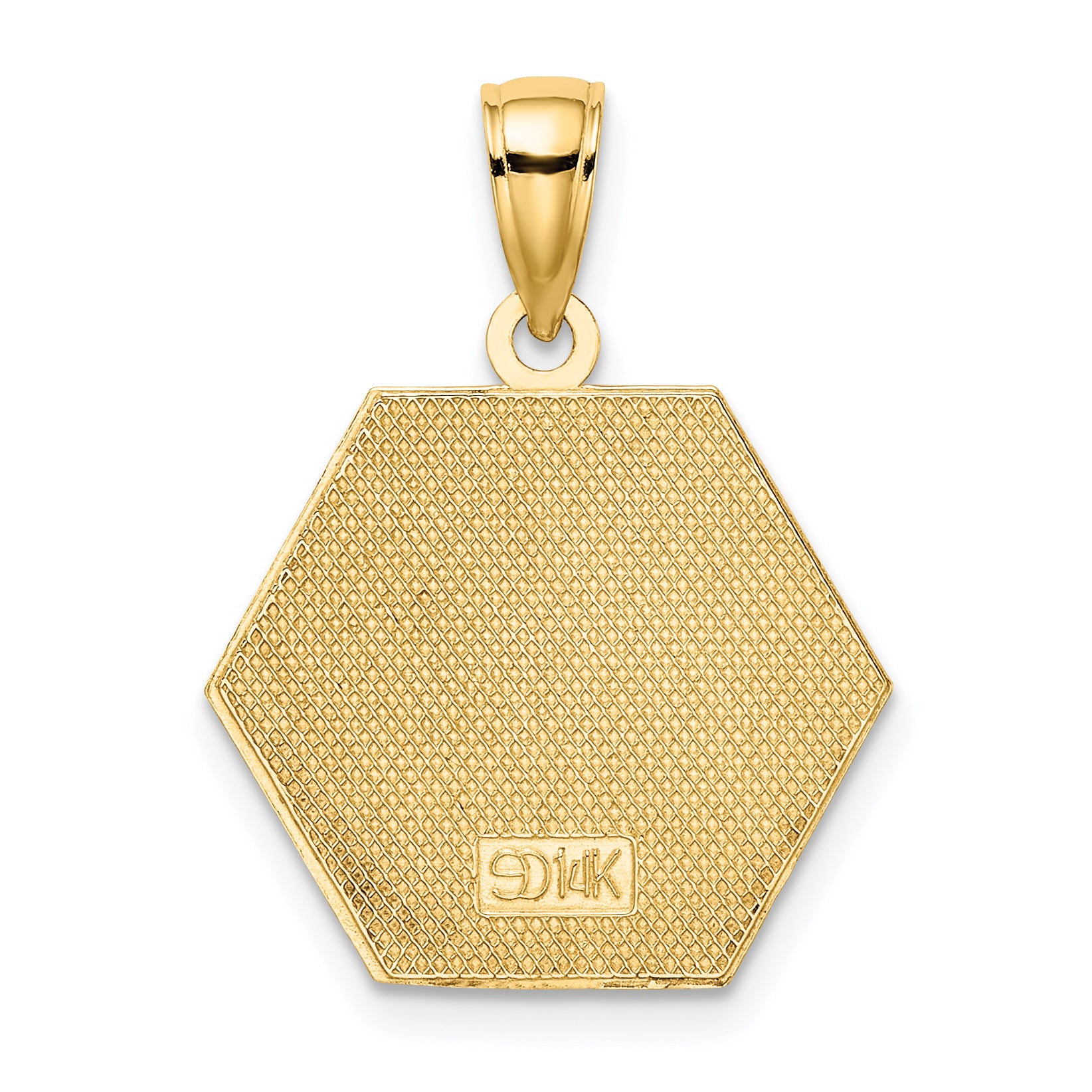 14K Enameled Textured Back Caduceus Medical Disc